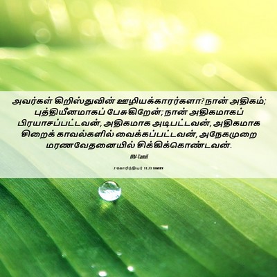 Picture 06 - 2 கொரிந்தியர் 11:23 TAMIRV - அவர்கள் - Bible Verse Picture