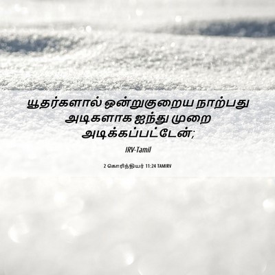 Picture 06 - 2 கொரிந்தியர் 11:24 TAMIRV - யூதர்களால் - Bible Verse Picture