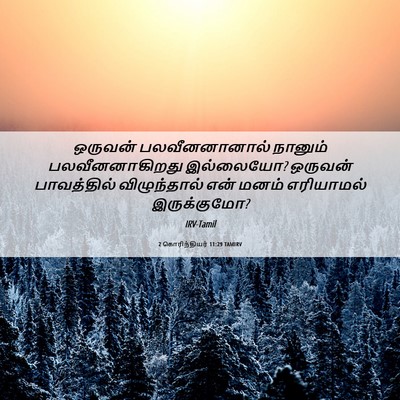 Picture 06 - 2 கொரிந்தியர் 11:29 TAMIRV - ஒருவன் - Bible Verse Picture