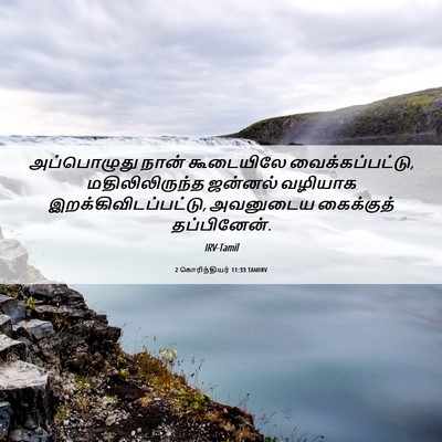Picture 06 - 2 கொரிந்தியர் 11:33 TAMIRV - அப்பொழுது நான் - Bible Verse Picture