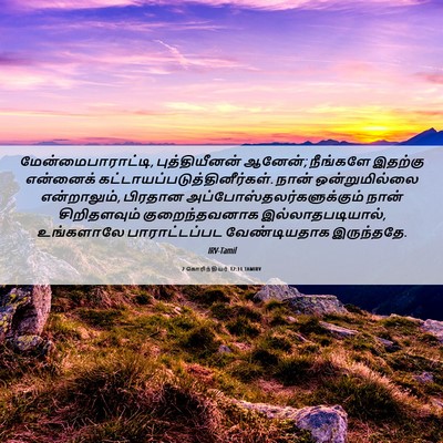 Picture 06 - 2 கொரிந்தியர் 12:11 TAMIRV - மேன்மைபாராட்டி, - Bible Verse Picture
