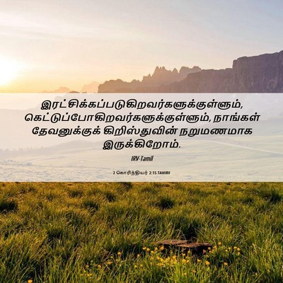 Picture 06 - 2 கொரிந்தியர் 2:15 TAMIRV -  - Bible Verse Picture