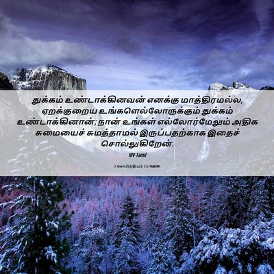 Picture 06 - 2 கொரிந்தியர் 2:5 TAMIRV - துக்கம் - Bible Verse Picture