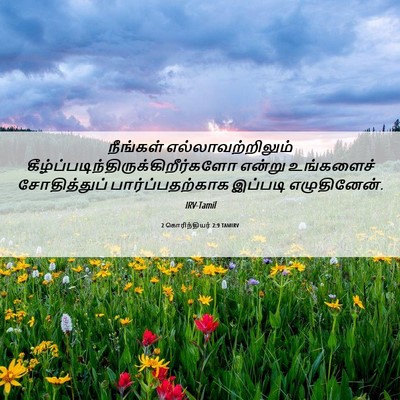 Picture 06 - 2 கொரிந்தியர் 2:9 TAMIRV - நீங்கள் - Bible Verse Picture