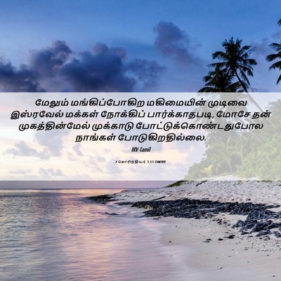 Picture 06 - 2 கொரிந்தியர் 3:13 TAMIRV - மேலும் - Bible Verse Picture