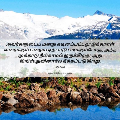 Picture 06 - 2 கொரிந்தியர் 3:14 TAMIRV - அவர்களுடைய மனது - Bible Verse Picture