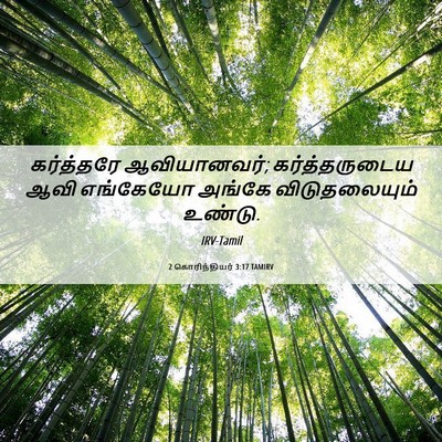 Picture 06 - 2 கொரிந்தியர் 3:17 TAMIRV - கர்த்தரே - Bible Verse Picture