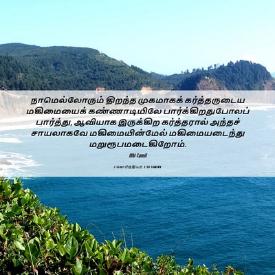 Picture 06 - 2 கொரிந்தியர் 3:18 TAMIRV - நாமெல்லோரும் - Bible Verse Picture