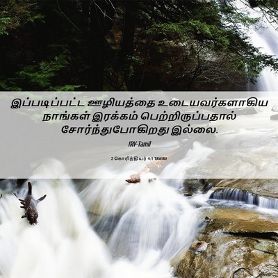 Picture 06 - 2 கொரிந்தியர் 4:1 TAMIRV - இப்படிப்பட்ட - Bible Verse Picture
