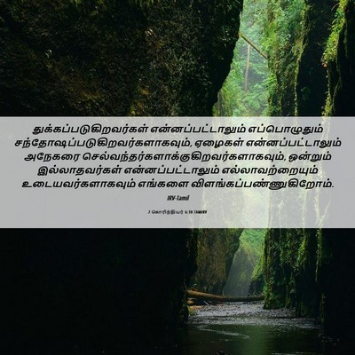 Picture 06 - 2 கொரிந்தியர் 6:10 TAMIRV -  - Bible Verse Picture