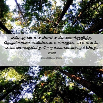 Picture 06 - 2 கொரிந்தியர் 6:12 TAMIRV - எங்களுடைய உள்ளம் - Bible Verse Picture