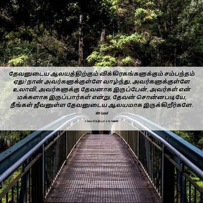 Picture 06 - 2 கொரிந்தியர் 6:16 TAMIRV - தேவனுடைய - Bible Verse Picture