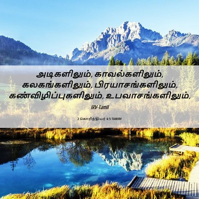 Picture 06 - 2 கொரிந்தியர் 6:5 TAMIRV - அடிகளிலும், - Bible Verse Picture