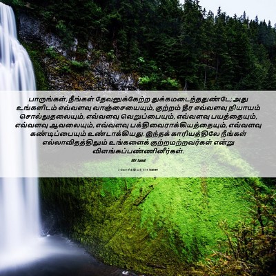 Picture 06 - 2 கொரிந்தியர் 7:11 TAMIRV - பாருங்கள், - Bible Verse Picture