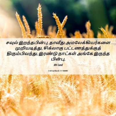 Picture 06 - 2 சாமுவேல் 1:1 TAMIRV - சவுல் - Bible Verse Picture