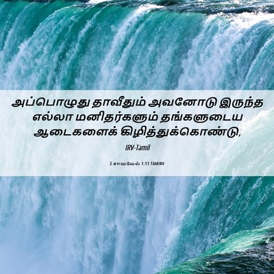 Picture 06 - 2 சாமுவேல் 1:11 TAMIRV - அப்பொழுது - Bible Verse Picture