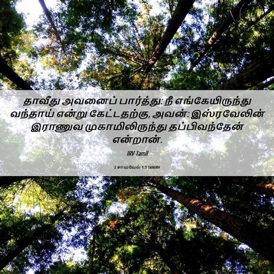 Picture 06 - 2 சாமுவேல் 1:3 TAMIRV - தாவீது அவனைப் - Bible Verse Picture