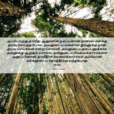 Picture 06 - 2 சாமுவேல் 10:2 TAMIRV - அப்பொழுது தாவீது: - Bible Verse Picture