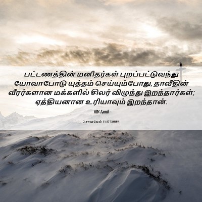 Picture 06 - 2 சாமுவேல் 11:17 TAMIRV - பட்டணத்தின் - Bible Verse Picture