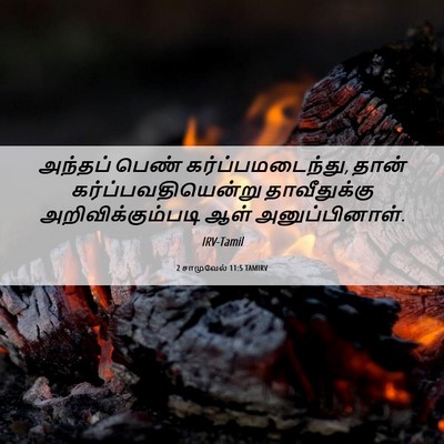 Picture 06 - 2 சாமுவேல் 11:5 TAMIRV - அந்தப் பெண் - Bible Verse Picture