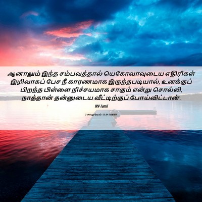Picture 06 - 2 சாமுவேல் 12:14 TAMIRV - ஆனாலும் இந்த - Bible Verse Picture