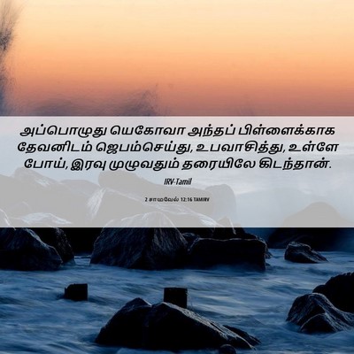 Picture 06 - 2 சாமுவேல் 12:16 TAMIRV - அப்பொழுது யெகோவா - Bible Verse Picture