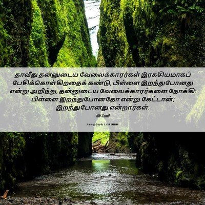 Picture 06 - 2 சாமுவேல் 12:19 TAMIRV - தாவீது தன்னுடைய - Bible Verse Picture
