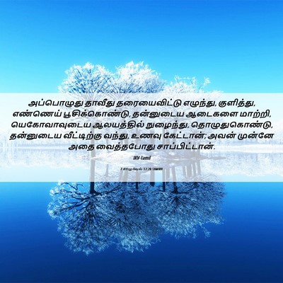 Picture 06 - 2 சாமுவேல் 12:20 TAMIRV - அப்பொழுது தாவீது - Bible Verse Picture
