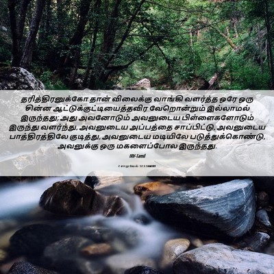 Picture 06 - 2 சாமுவேல் 12:3 TAMIRV - தரித்திரனுக்கோ - Bible Verse Picture