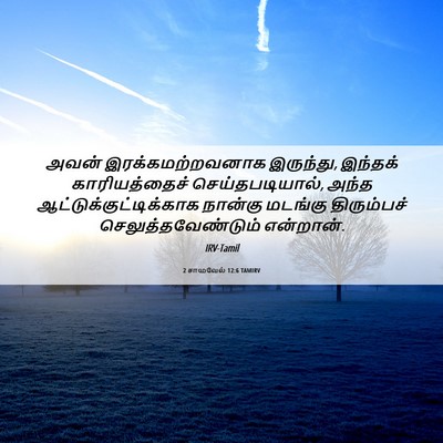 Picture 06 - 2 சாமுவேல் 12:6 TAMIRV - அவன் - Bible Verse Picture