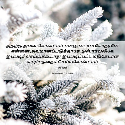 Picture 06 - 2 சாமுவேல் 13:12 TAMIRV - அதற்கு அவள்: - Bible Verse Picture