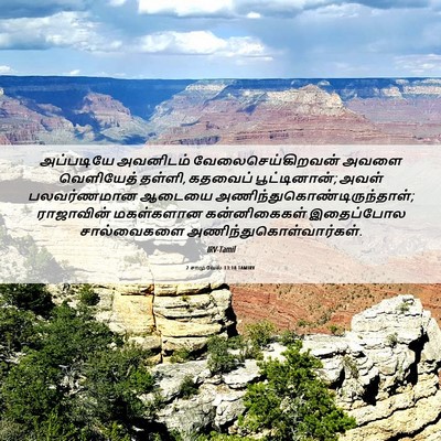 Picture 06 - 2 சாமுவேல் 13:18 TAMIRV - அப்படியே அவனிடம் - Bible Verse Picture