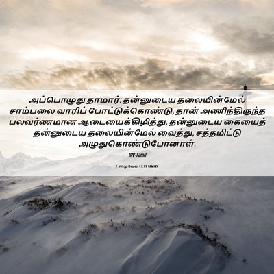 Picture 06 - 2 சாமுவேல் 13:19 TAMIRV - அப்பொழுது தாமார்: - Bible Verse Picture