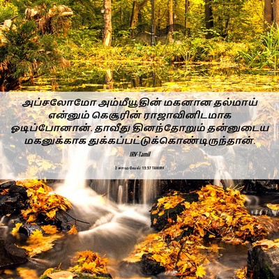 Picture 06 - 2 சாமுவேல் 13:37 TAMIRV - அப்சலோமோ - Bible Verse Picture