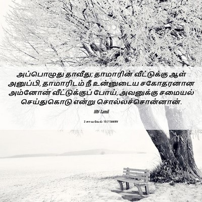 Picture 06 - 2 சாமுவேல் 13:7 TAMIRV - அப்பொழுது தாவீது; - Bible Verse Picture