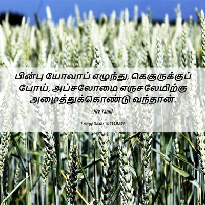 Picture 06 - 2 சாமுவேல் 14:23 TAMIRV - பின்பு யோவாப் - Bible Verse Picture