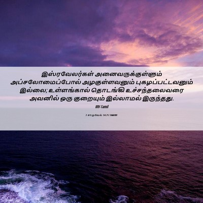 Picture 06 - 2 சாமுவேல் 14:25 TAMIRV - இஸ்ரவேலர்கள் - Bible Verse Picture