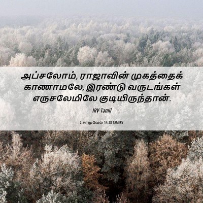 Picture 06 - 2 சாமுவேல் 14:28 TAMIRV - அப்சலோம், - Bible Verse Picture