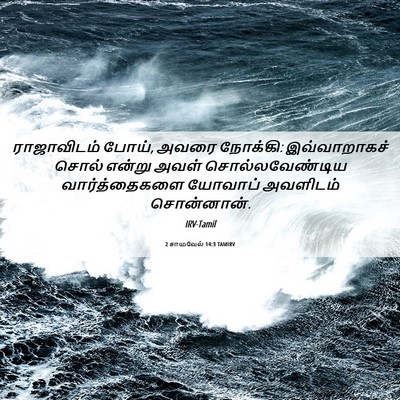 Picture 06 - 2 சாமுவேல் 14:3 TAMIRV - ராஜாவிடம் போய், - Bible Verse Picture
