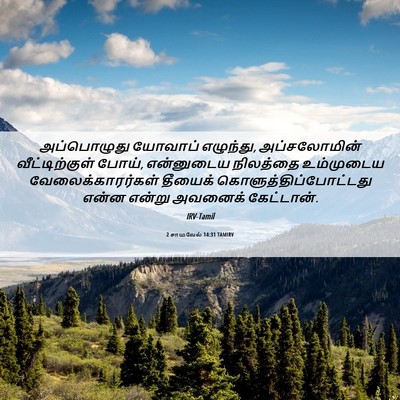 Picture 06 - 2 சாமுவேல் 14:31 TAMIRV - அப்பொழுது யோவாப் - Bible Verse Picture
