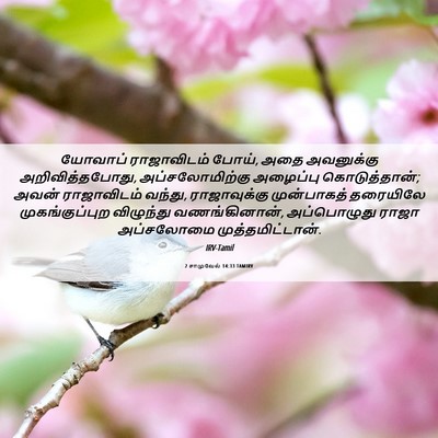 Picture 06 - 2 சாமுவேல் 14:33 TAMIRV - யோவாப் ராஜாவிடம் - Bible Verse Picture