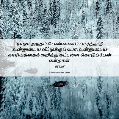 Picture 06 - 2 சாமுவேல் 14:8 TAMIRV - ராஜா அந்தப் - Bible Verse Picture