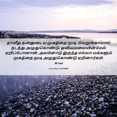Picture 06 - 2 சாமுவேல் 15:30 TAMIRV - தாவீது தன்னுடைய - Bible Verse Picture