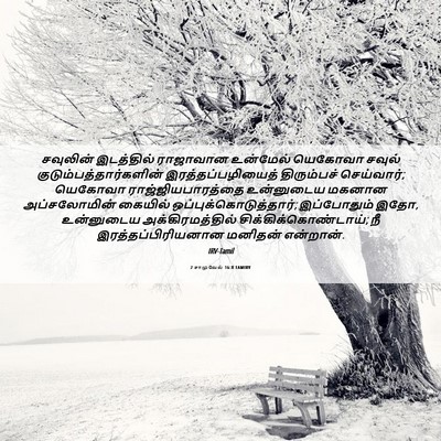 Picture 06 - 2 சாமுவேல் 16:8 TAMIRV - சவுலின் இடத்தில் - Bible Verse Picture