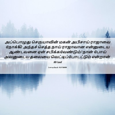 Picture 06 - 2 சாமுவேல் 16:9 TAMIRV - அப்பொழுது - Bible Verse Picture