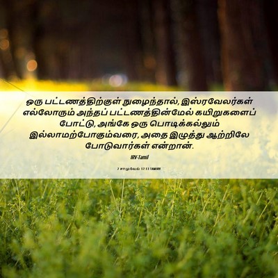 Picture 06 - 2 சாமுவேல் 17:13 TAMIRV - ஒரு - Bible Verse Picture
