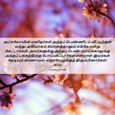 Picture 06 - 2 சாமுவேல் 17:20 TAMIRV - அப்சலோமின் - Bible Verse Picture