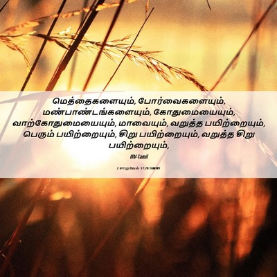 Picture 06 - 2 சாமுவேல் 17:28 TAMIRV - மெத்தைகளையும், - Bible Verse Picture