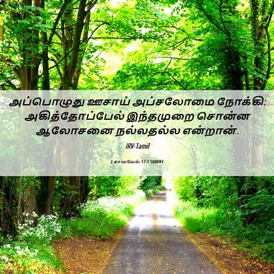 Picture 06 - 2 சாமுவேல் 17:7 TAMIRV - அப்பொழுது ஊசாய் - Bible Verse Picture