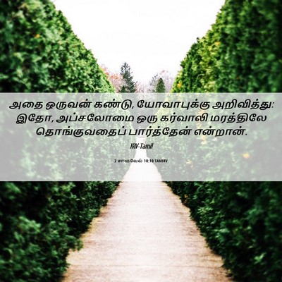Picture 06 - 2 சாமுவேல் 18:10 TAMIRV - அதை ஒருவன் கண்டு, - Bible Verse Picture